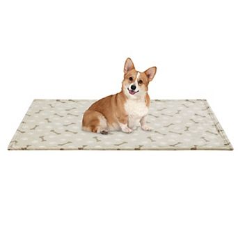 Friends Forever Printed Pet Blanket