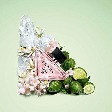 Mini Paradoxe Discovery Set
