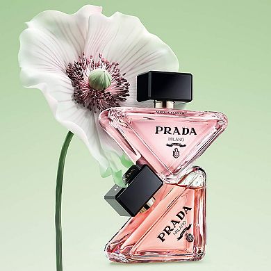 Mini Paradoxe Discovery Set