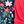Navy Floral Holly