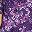 Rich Violet Flowers