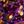 Purple And Gold