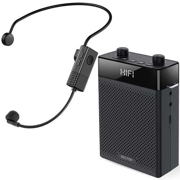 Delton A566 Bluetooth Speaker, Voice Amplifier (DVA566)