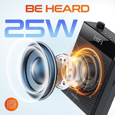 Delton A566 Bluetooth Speaker, Voice Amplifier (DVA566)