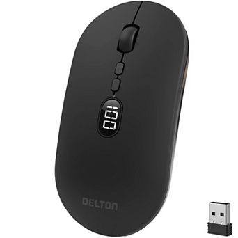 Delton S16 Wireless Mouse, Quiet, Adjustable DPI (DMS16-WR)
