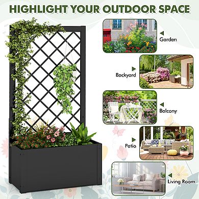 44 Inch Metal Raised Garden Bed with Trellis-Black