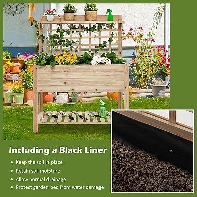 Raised Garden Bed With Trellis, Wheels, And Storage Shelf