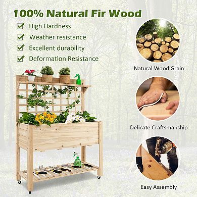 Raised Garden Bed With Trellis, Wheels, And Storage Shelf