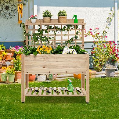 Raised Garden Bed With Trellis, Wheels, And Storage Shelf