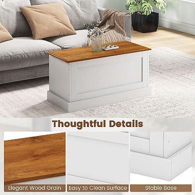 Large Storage Chest With Safety Metal Hinge-white