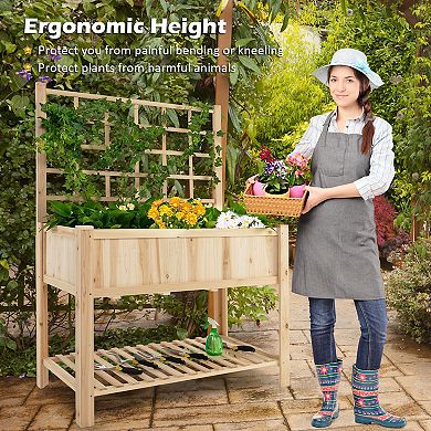Raised Garden Bed Elevated Wooden Planter Box With Trellis For Climbing Plants