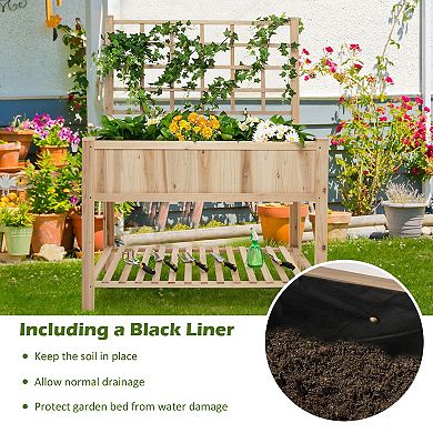 Raised Garden Bed Elevated Wooden Planter Box With Trellis For Climbing Plants