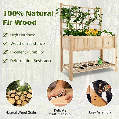 Raised Garden Bed Elevated Wooden Planter Box With Trellis For Climbing Plants