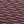 Purple Fig