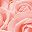 Peach Pink