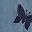Navy Butterfly