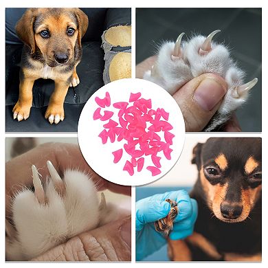 Portable Anti-scratch Pet Nail Caps for Dog 50 Pcs