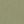 Pea Green Camel