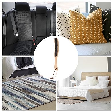 Long Handle Pet Hair Remover for Dog for Cat 1 Pc