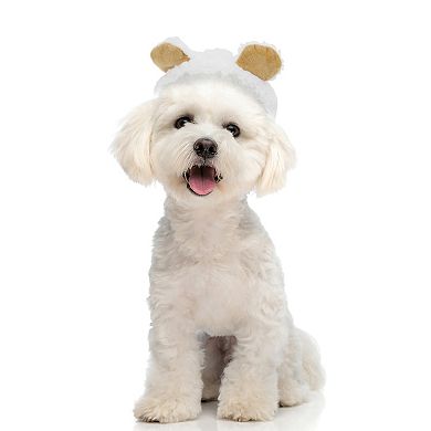 Funny Eye-catching Pet Headwear 1 Pcs