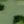 Clear Green
