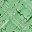 Green Black