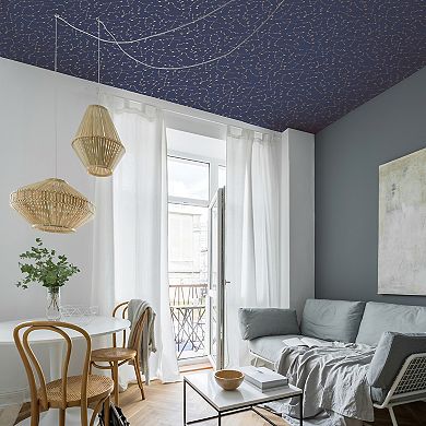 Tempaper Constellations by Novogratz Peel and Stick Wallpaper