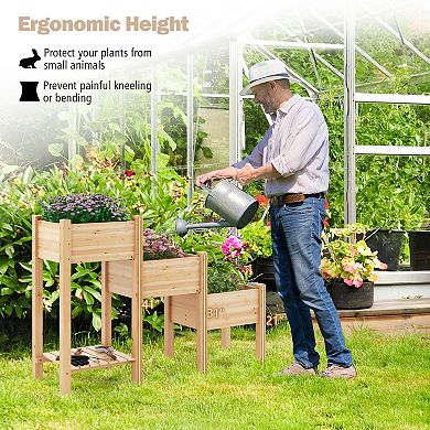 3-tier Wooden Raised Garden Bed With Open Storage Shelf