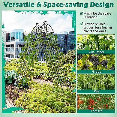 2 Pack Metal Garden Trellis Decorative for Climbing Plants