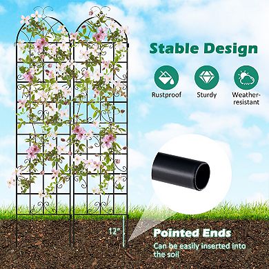 2 Pack Metal Garden Trellis Decorative for Climbing Plants