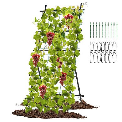 74 Inch Tall Garden Trellis for Flower Vine Vegetable Fruit Pea