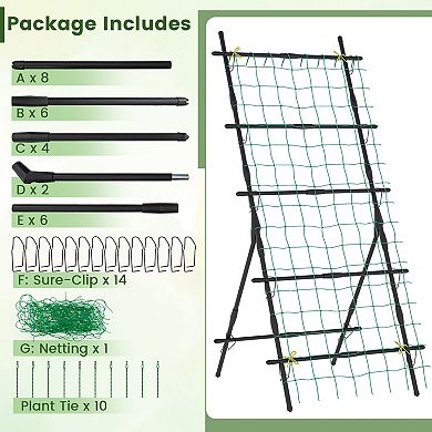 74 Inch Tall Garden Trellis for Flower Vine Vegetable Fruit Pea