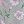 Juniper Floral Pearl B