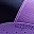 Bright Violet