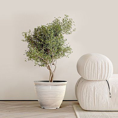 LuxenHome Ivory White Bell Round Plastic Planter