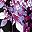 Black Berry Floral