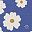 Blue Bird Blue White