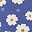 Blue White