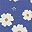 Colorful Blue White