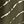 Green Dye Stripe