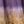Purple Ombre Dye