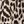 Beige Leopard Spots