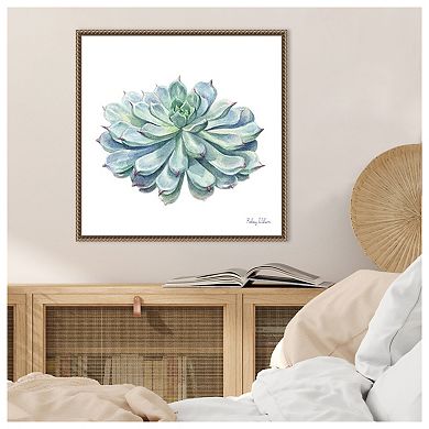 Single Succulents I by Kelsey Wilson Framed Canvas Wall Art Print