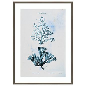 Blue Bay VIII by Deborah Revell Wood Framed Wall Art Print