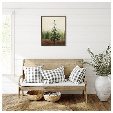 Young Evergreen II by Grace Popp Framed Canvas Wall Art Print