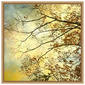 Storm Clouds II by Judy Stalus Framed Canvas Wall Art Print