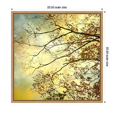 Storm Clouds II by Judy Stalus Framed Canvas Wall Art Print