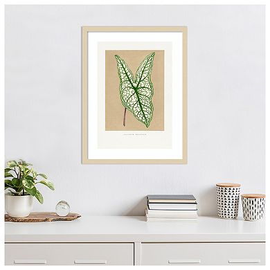 Green Caladium Leaf Illustration by Pictufy Wood Framed Wall Art Print