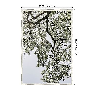 Coastal Forest by Shot by Clint Framed Canvas Wall Art Print