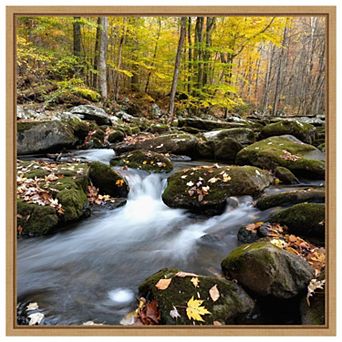 Autumn Rush by Danny Head Framed Canvas Wall Art Print